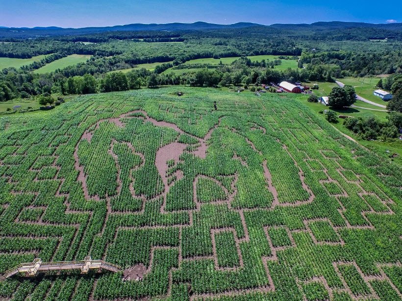 Great Vermont Corn Maze, Vermont, USA